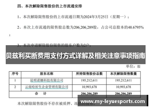 贝兹利买断费用支付方式详解及相关注意事项指南