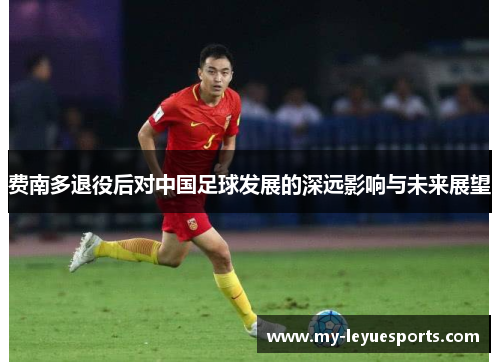 费南多退役后对中国足球发展的深远影响与未来展望