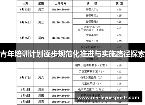 青年培训计划逐步规范化推进与实施路径探索 青年培训计划逐步规范化推进与实施路径探索