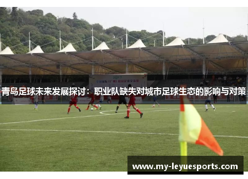 青岛足球未来发展探讨:职业队缺失对城市足球生态的影响与对策 青岛足球未来发展探讨:职业队缺失对城市足球生态的影响与对策