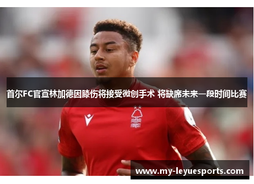首尔FC官宣林加德因膝伤将接受微创手术 将缺席未来一段时间比赛 首尔FC官宣林加德因膝伤将接受微创手术 将缺席未来一段时间比赛